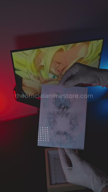 Dragon Ball Goku Light Painting